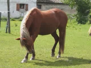 seance avec ninize le 14 mai 2009