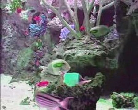 Isochronic brainwaves: low theta frequencies for sleep