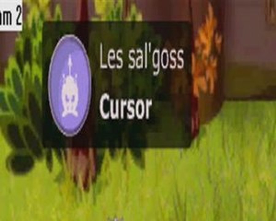 Dofus [ Cursor stop mais laisse un souvenir]