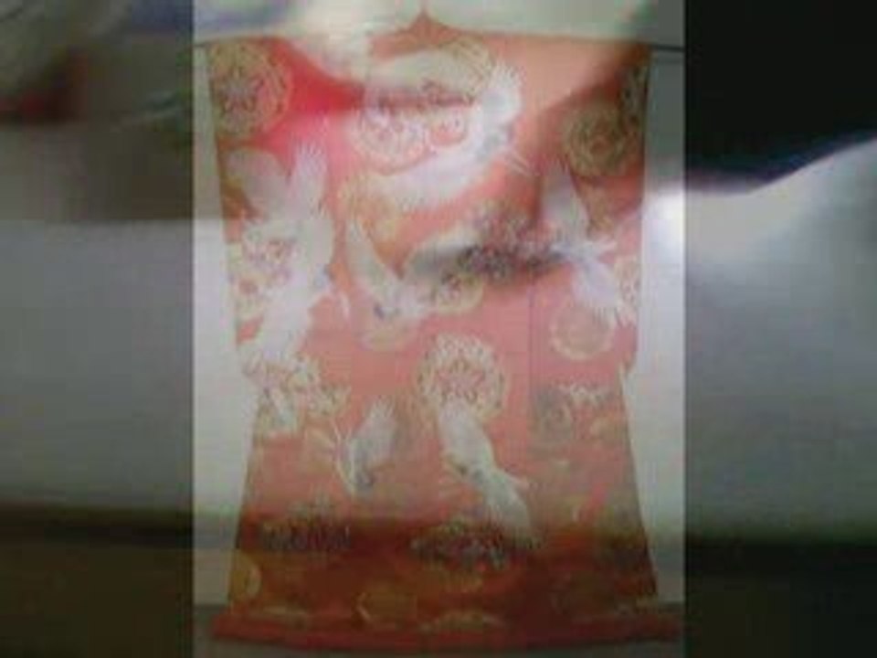 bee have her cognitive feat nutrient realities