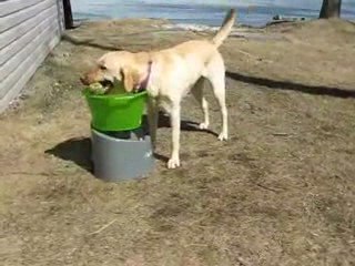 Learning to Play Tennis Options