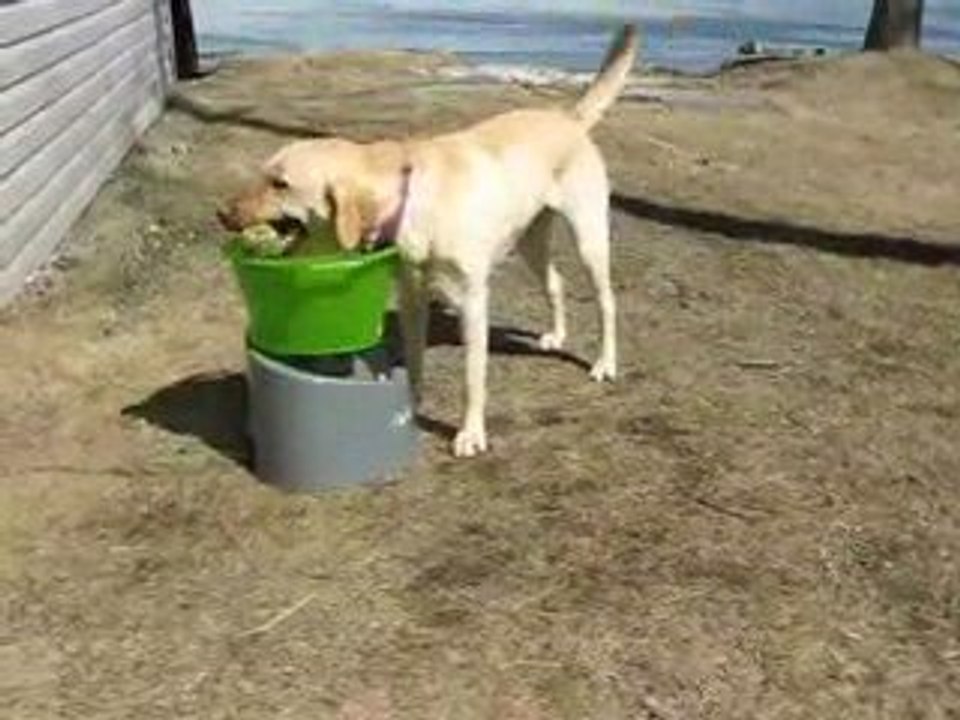 Learning to Play Tennis Options