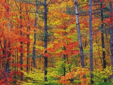 РЕСПЕКТ-ЩЕ БЪДА ТАМ