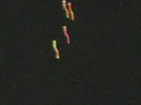 UFOS RECOGNITION MOSCOW TORINO MAINE UK 2009 Video