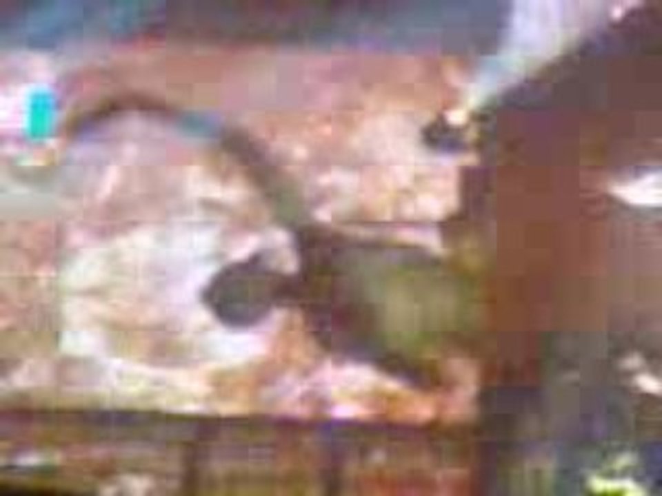 Mylène Farmer en concert au Dôme à Marseille le 12/05/2009 5