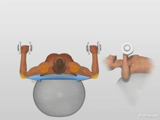 Exercice Developpe Avec Haltere Sur Ballon