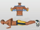 Muscles - Pectoraux  Exercice Pompes Explosive