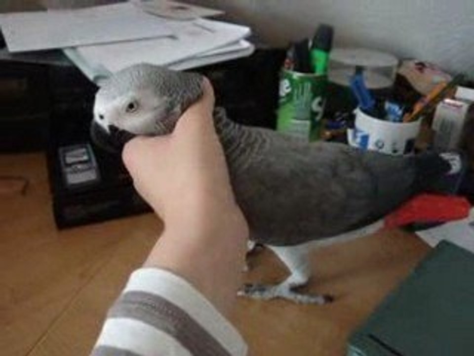 miko je lui tord le coup