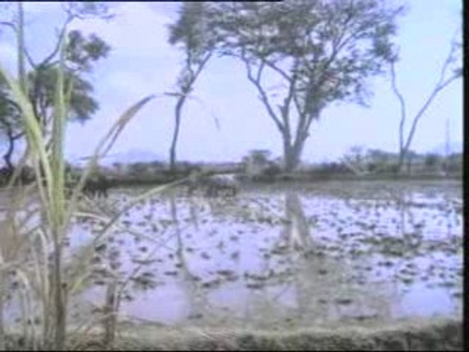 Sevanthi poomuditha