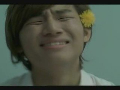 DaeSung - 2% CF Type O (15s)