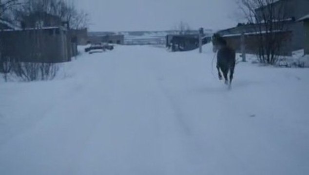 White Lies Promo clip - Ejekt festival 2009