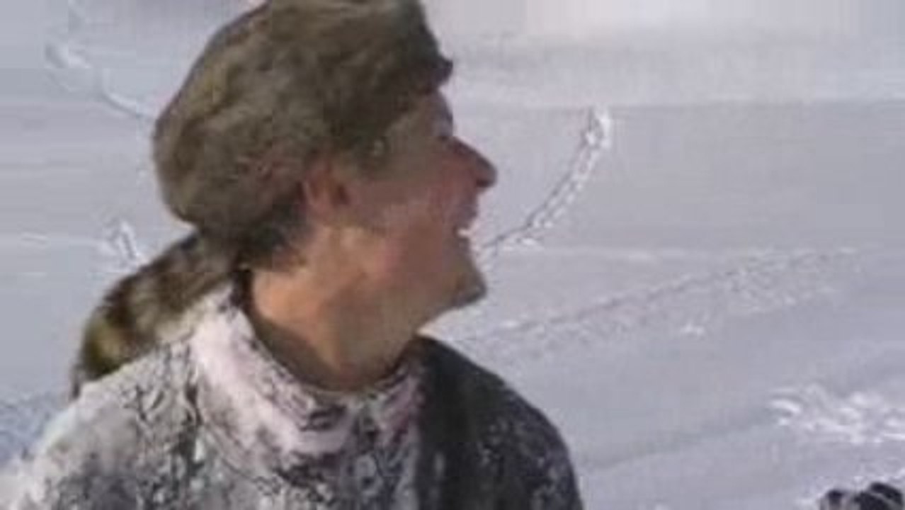 Les stapsiens font du ski