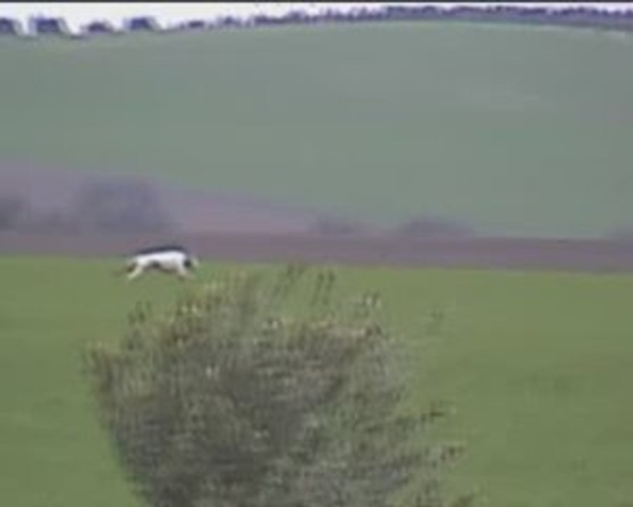 Tino en endalousie 1er jour