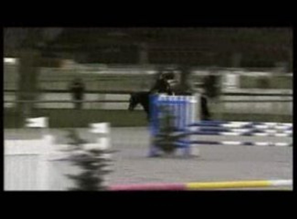 Amsterdam cheval concours obstacle