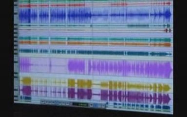 Palinka 2009 - Nouvel Album : "Catastrophe" - Prochainement!