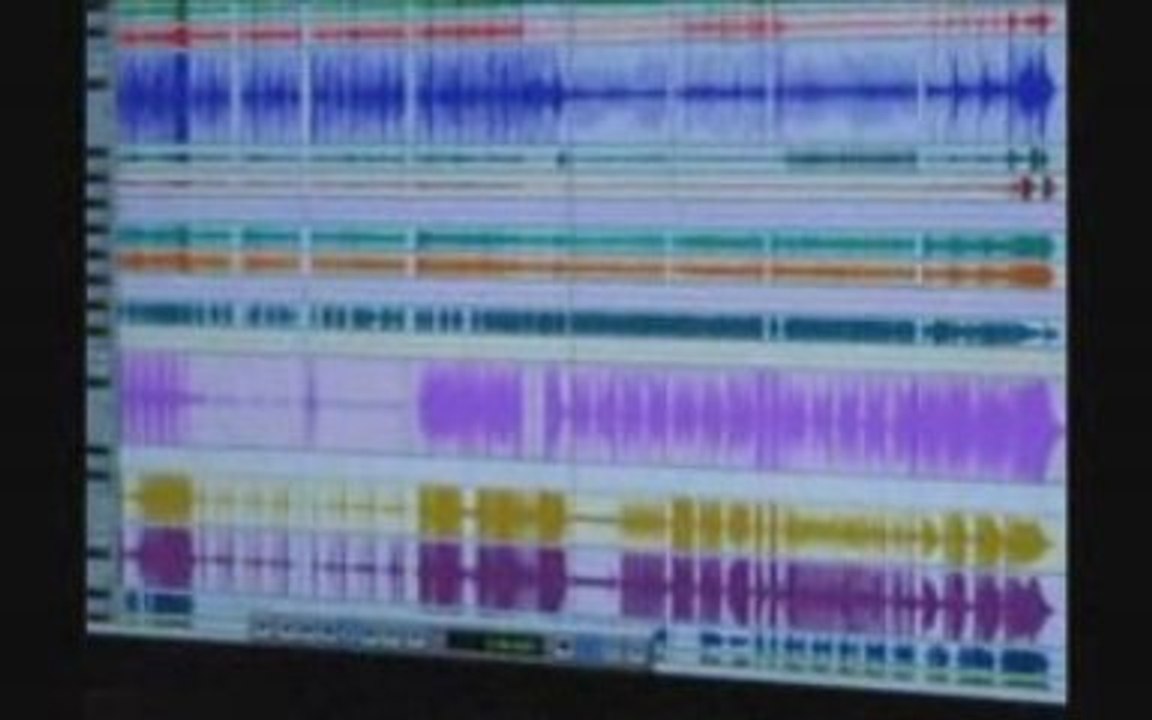 Palinka 2009 - Nouvel Album : "Catastrophe" - Prochainement!