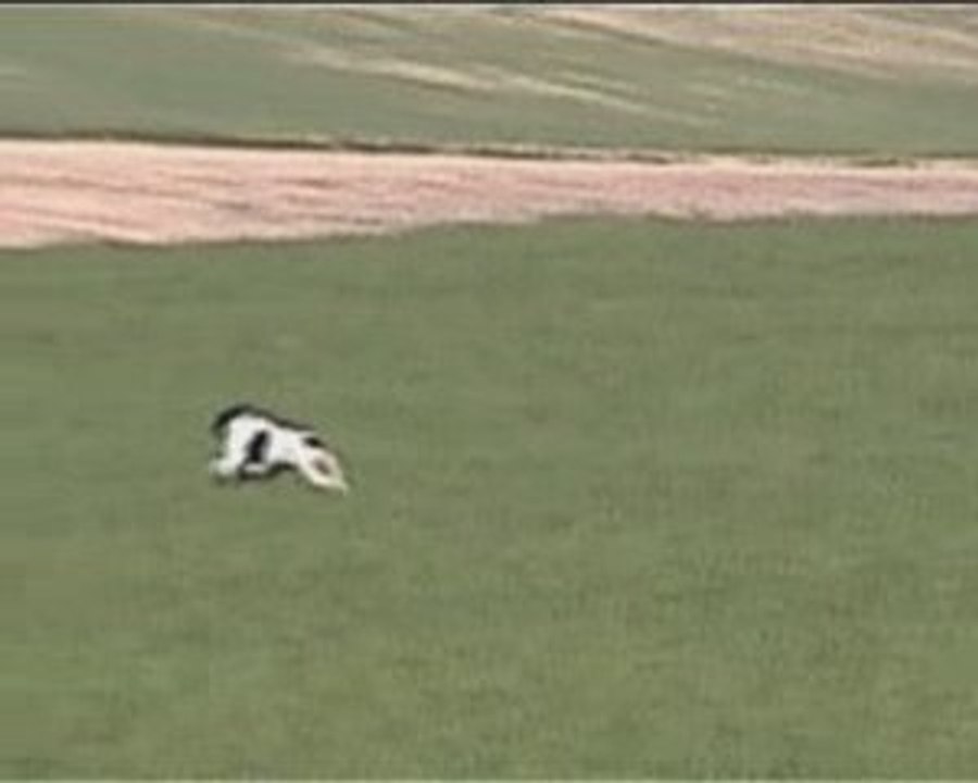 Tambo&baron  andalousie