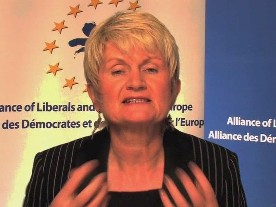 [60SEC] Marian Harkin : Before 2009 European Elections