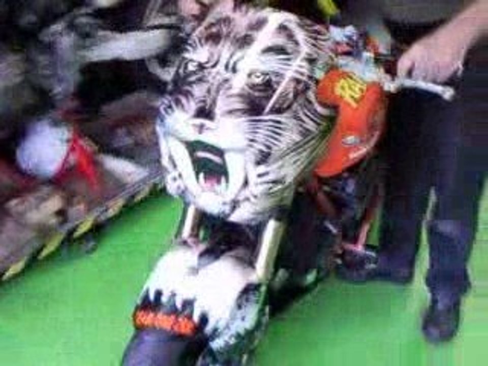 La TOZ de Raspo-Concept