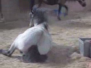 Mistinguett qui se roule