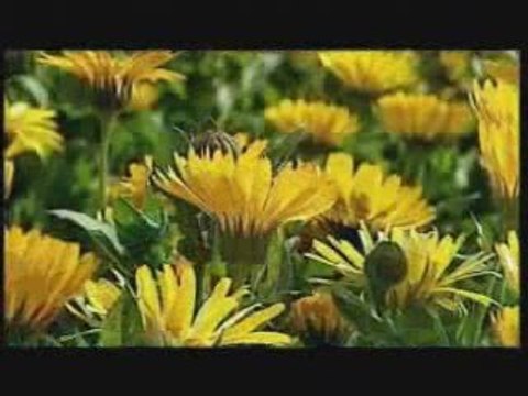 Uğur karakuş-Ezdirmem seni-naci eray bestesi