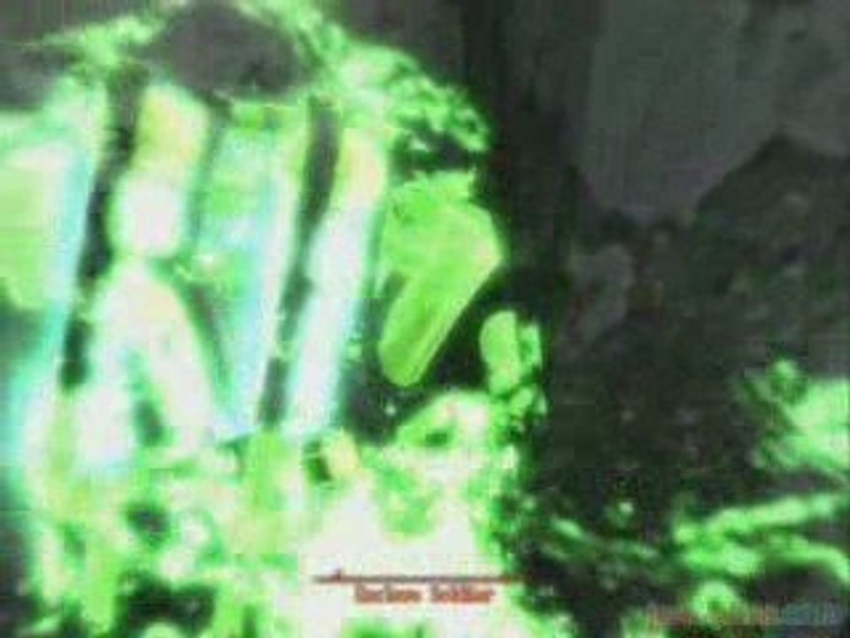 Fallout 3 : Broken Steel
