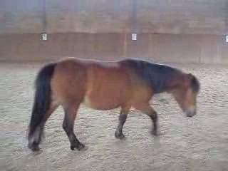 Mistinguett qui se roule 2