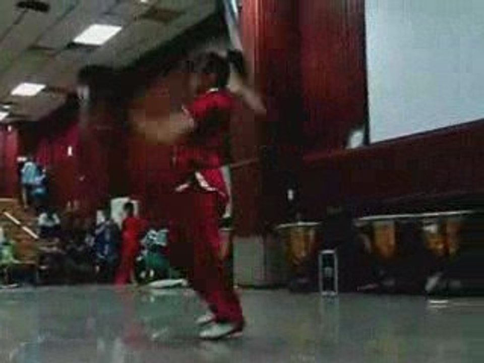 The Sword Kung Fu Show in High School