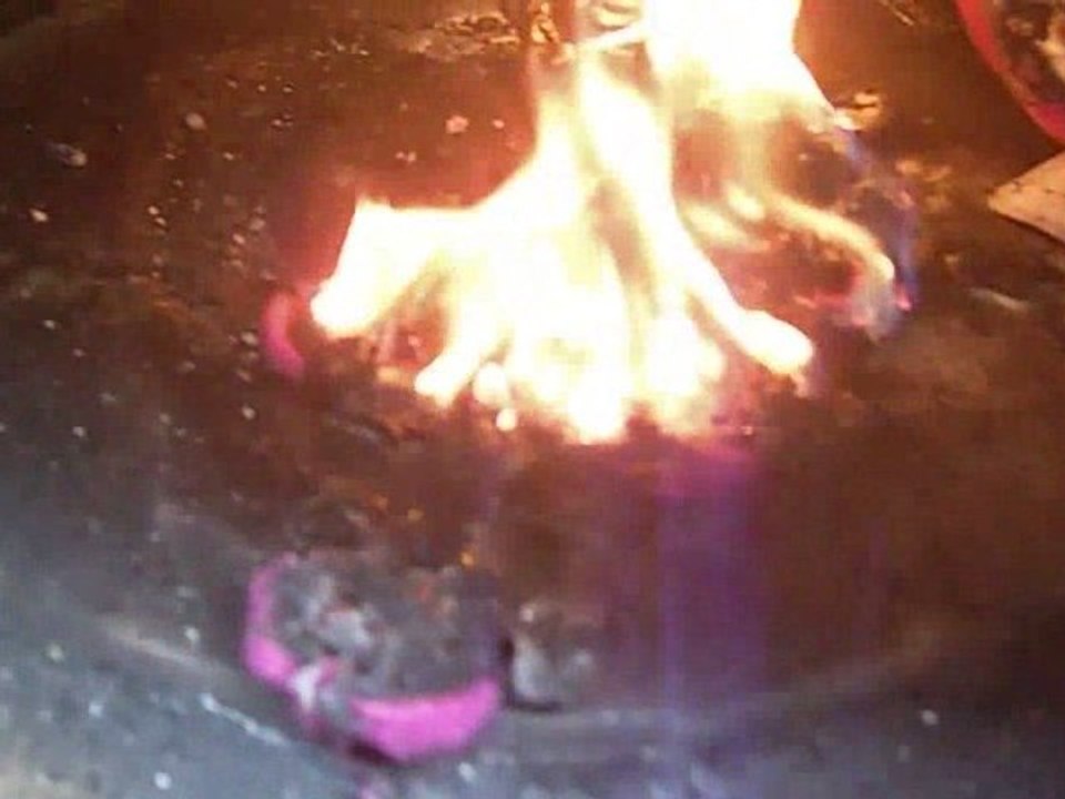 MICROWAVING BARNEY