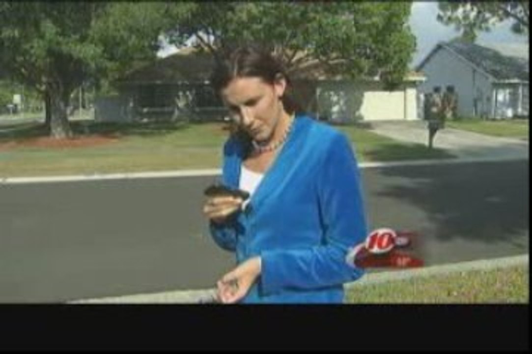 No_Panty_Lines_at_Sickles_High_School