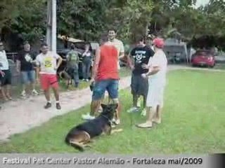 Diogo Famoso Depois da Apresentação Fritz