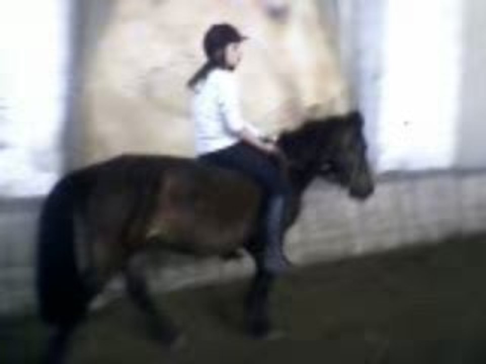 Miniblack & mwa
