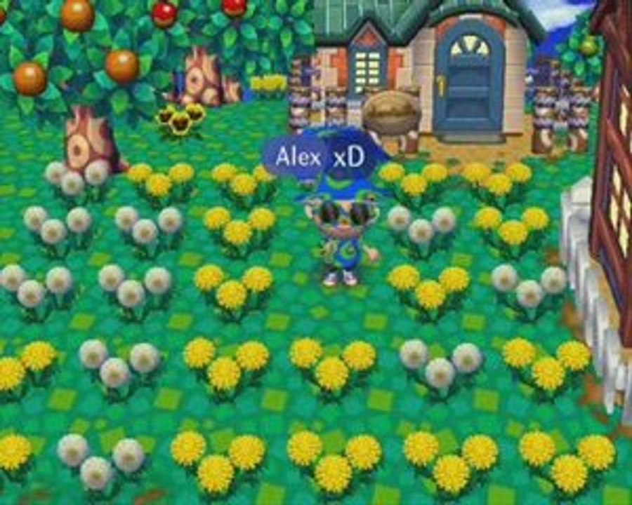 "Photoshoot" Animal crossing Let's go to the city N°9
