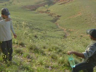 el kantara Darssa hamra الضرسة الحمراء