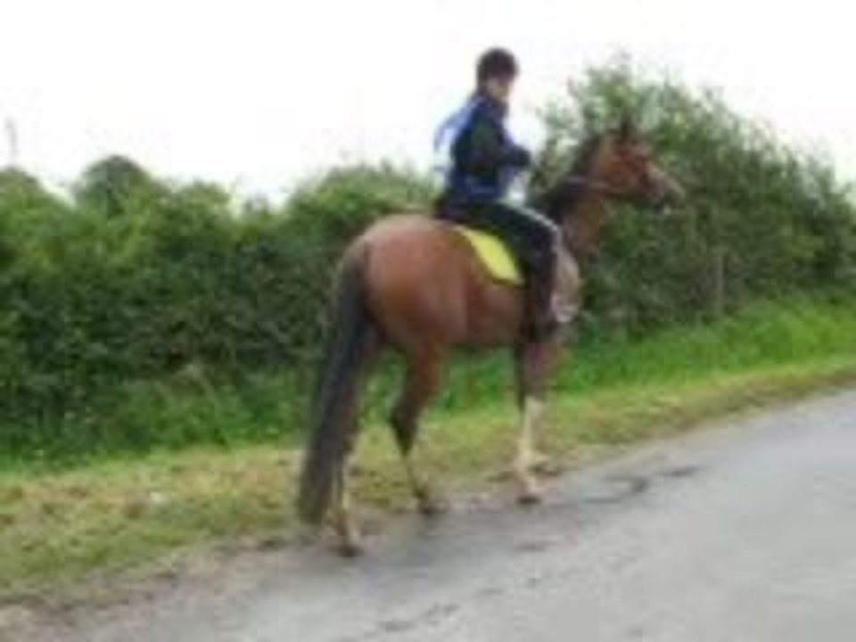 soulaines 2009 1ère endurance Radja N°3