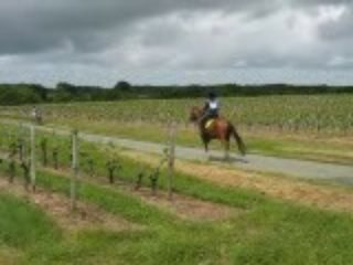 soulaines 2009 1ère endurance Radja N°6