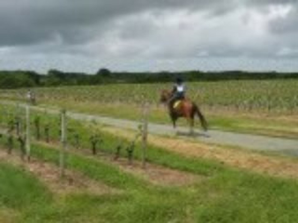 soulaines 2009 1ère endurance Radja N°6