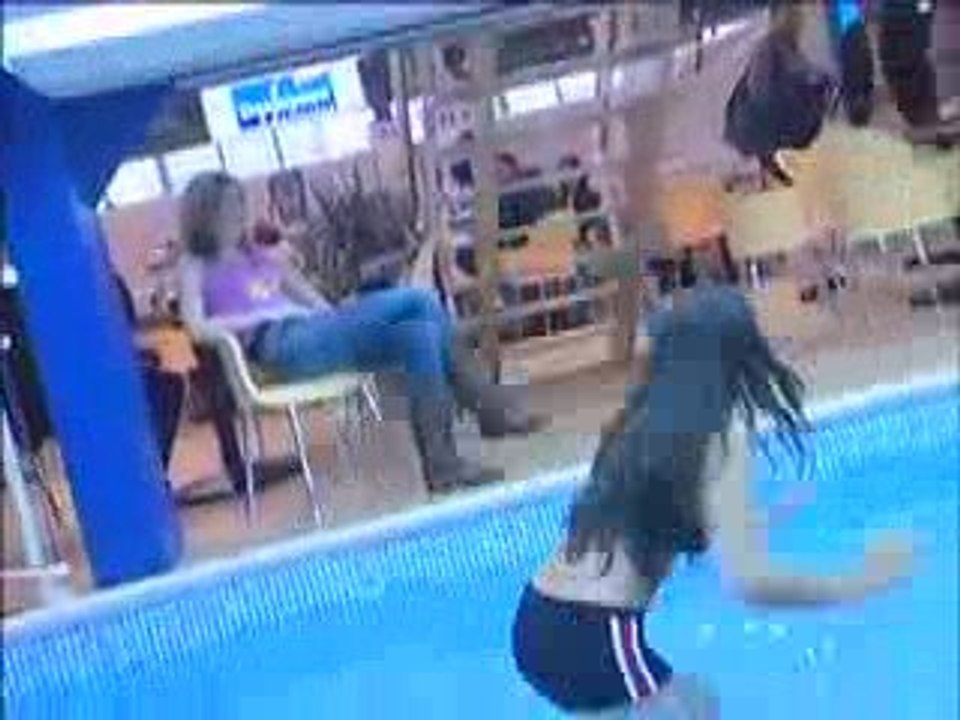 FDP2006