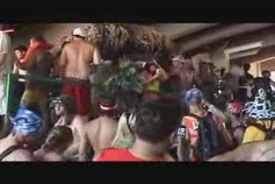 Bay To Breakers Rauchy Party Solution: Concerts