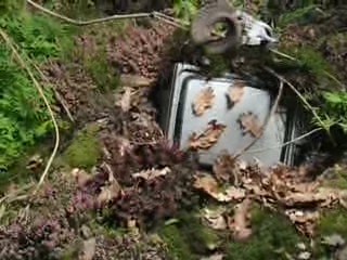 Nantes : Floralies 2009