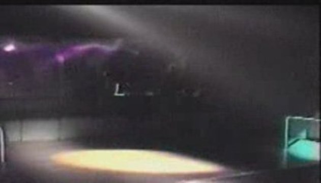 jpg sosie de johnny hallyday en concert à paris 2009