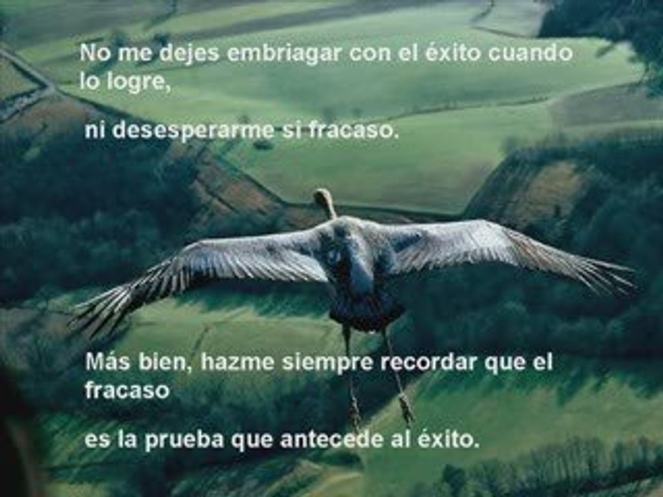 Reflexion Vida