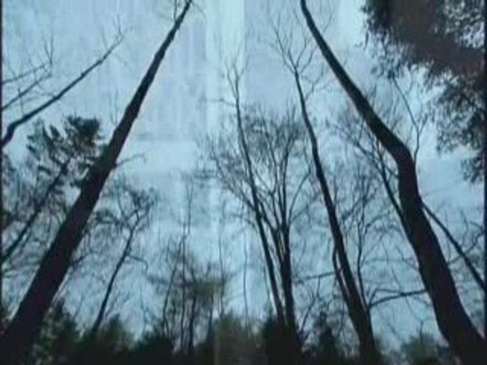 Yuri ha aoku saite - Alice Nine