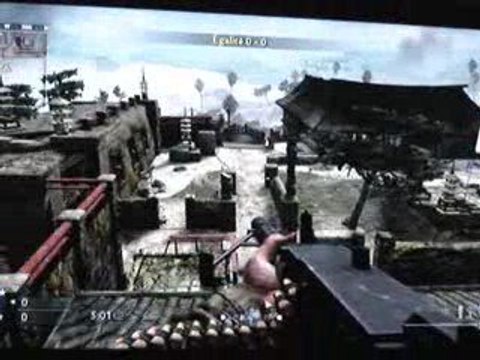 Bugs call of duty World at War castel part 3