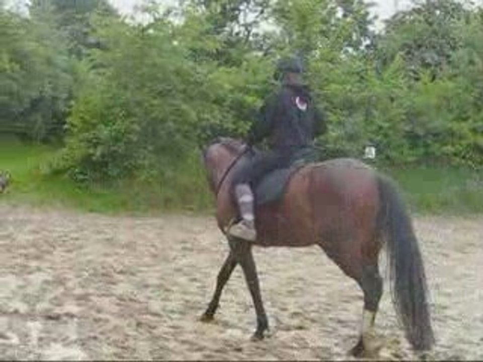 Vendredi 15 Mai_0001