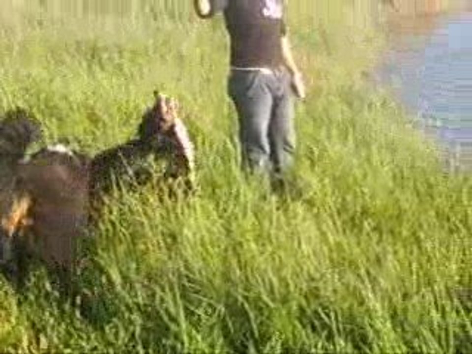 Darko, petite loutre