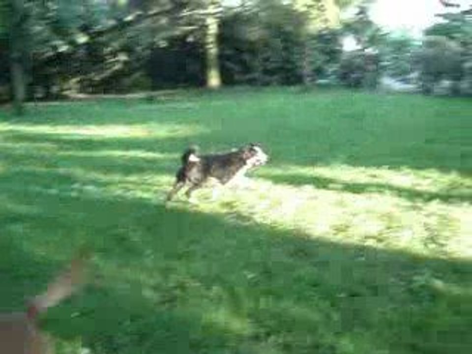 MOV03474