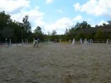 Concours Haras Du Parc avec Couette-Couette