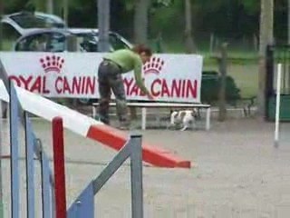 Ambrouille Concours de trélazé 1er degré