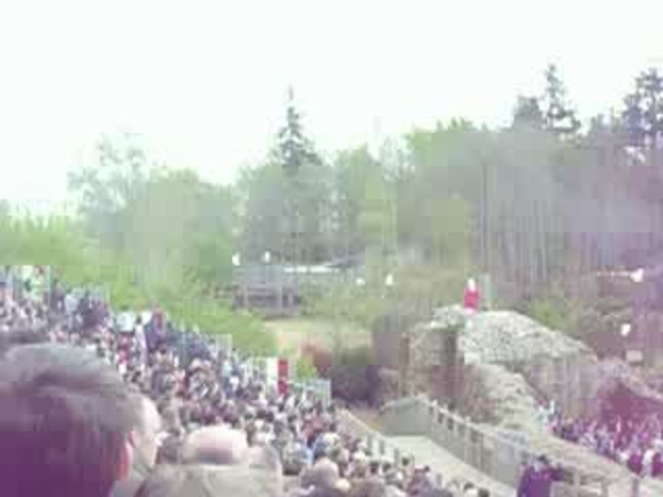 Puy du Fou 071